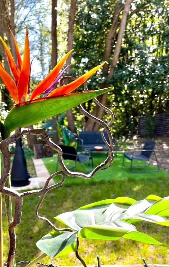 Tiki House M-Home-Climatise - Belle Parcelle ! Saint-Chéron 외부 사진