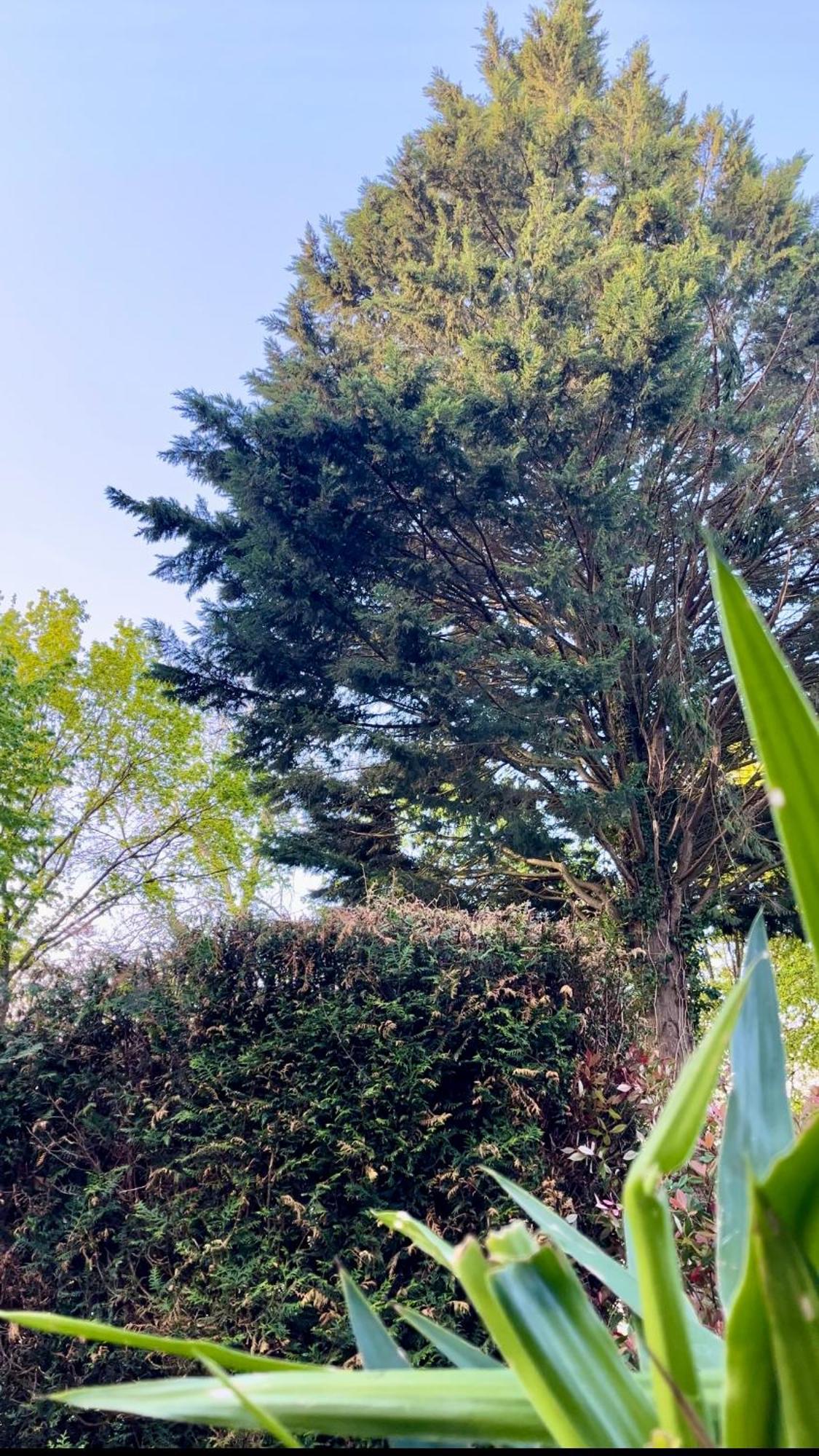 Tiki House M-Home-Climatise - Belle Parcelle ! Saint-Chéron 외부 사진